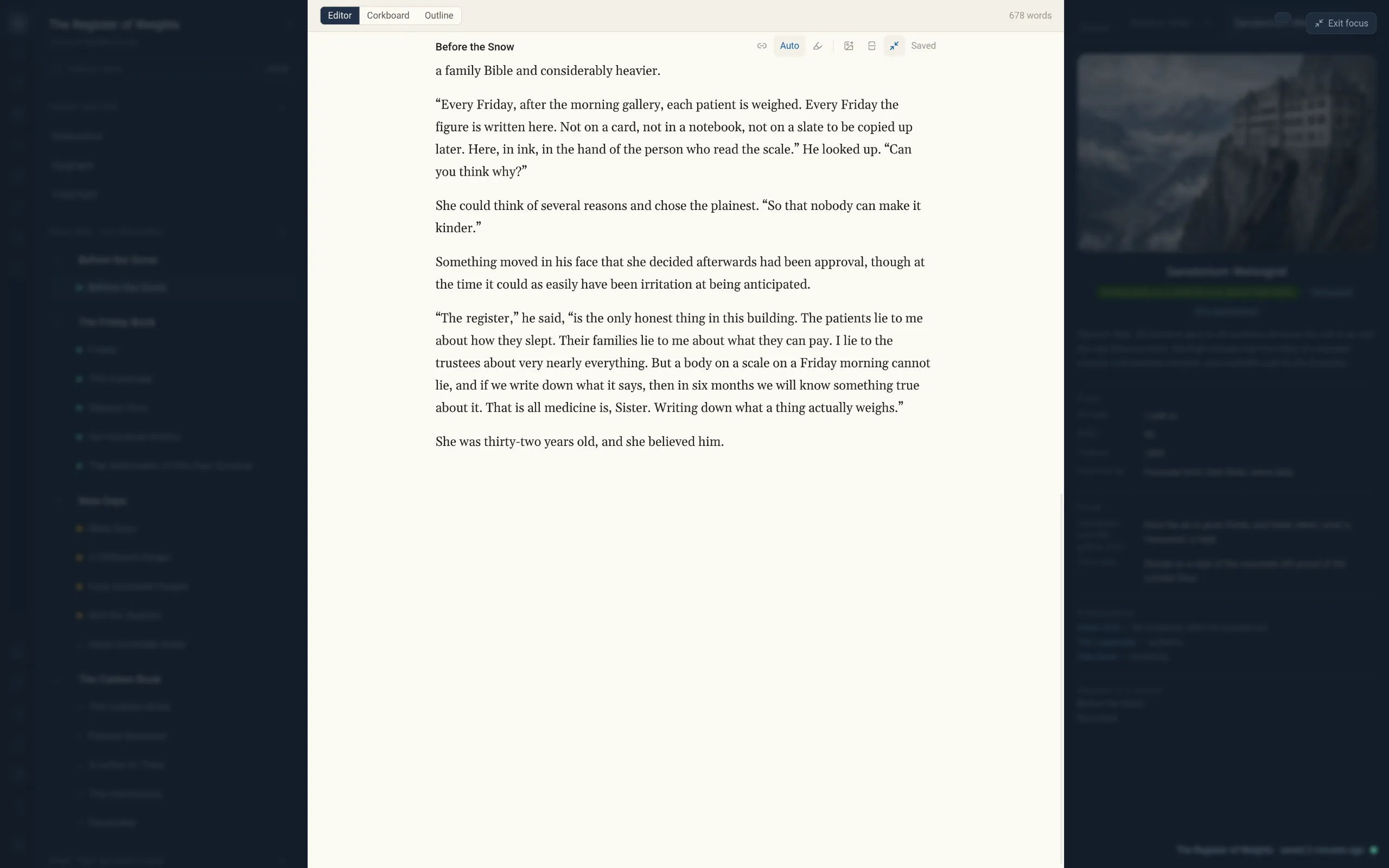 The editor in focus mode, showing only the prose with everything else hidden